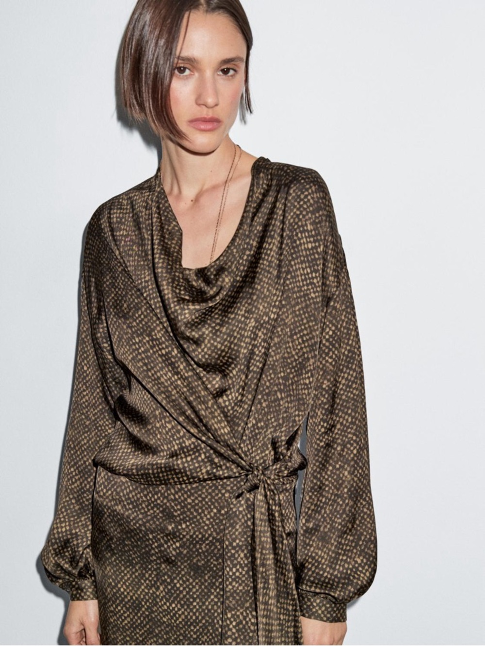 Massimo Dutti Brown and Olive Printed Dress